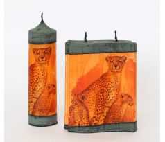 Gepard