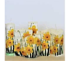 Narcisy