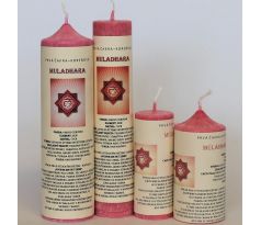 1. čakra- MULADHARA